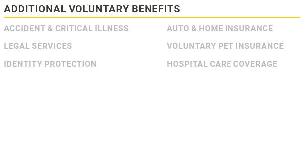 Additional Voluntary Benefits,Accident & Critical Illness Legal Services Identity Protection ,Auto & home insurance V...