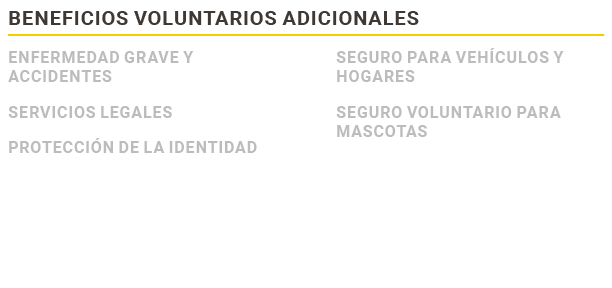 Beneficios voluntarios adicionales,Enfermedad grave y accidentes Servicios legales Protecci n de la identidad ,Seguro...