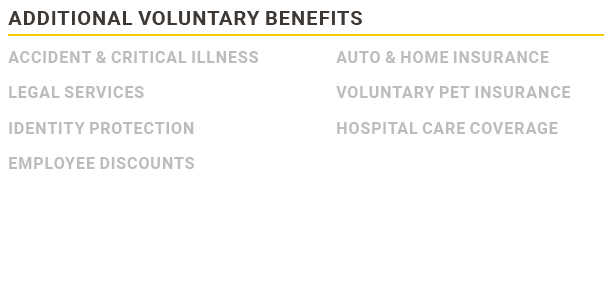 Additional Voluntary Benefits,Accident & Critical Illness Legal Services Identity Protection Employee discounts,Auto ...