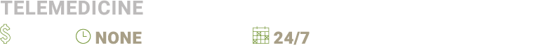 Telemedicine  None  24/7  